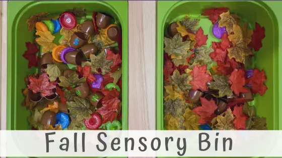 Fall Sensory Bin