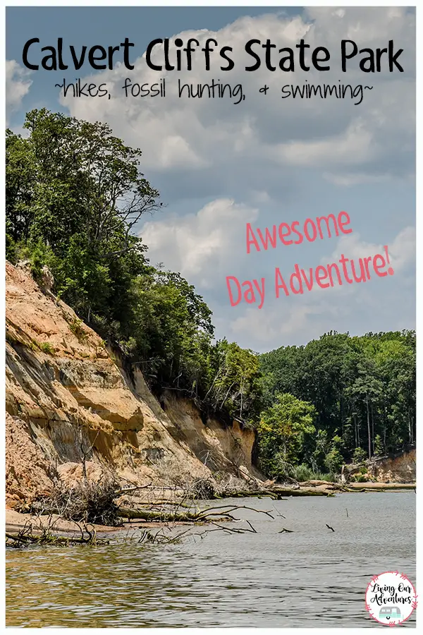 Calvert Cliffs State Park, a great Day Adventure to take with your family