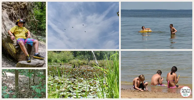 Calvert Cliffs MD State Park Kids Photo Challenge