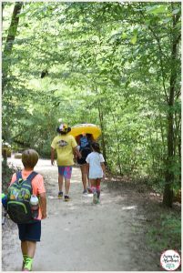 Calvert Cliffs MD State Park